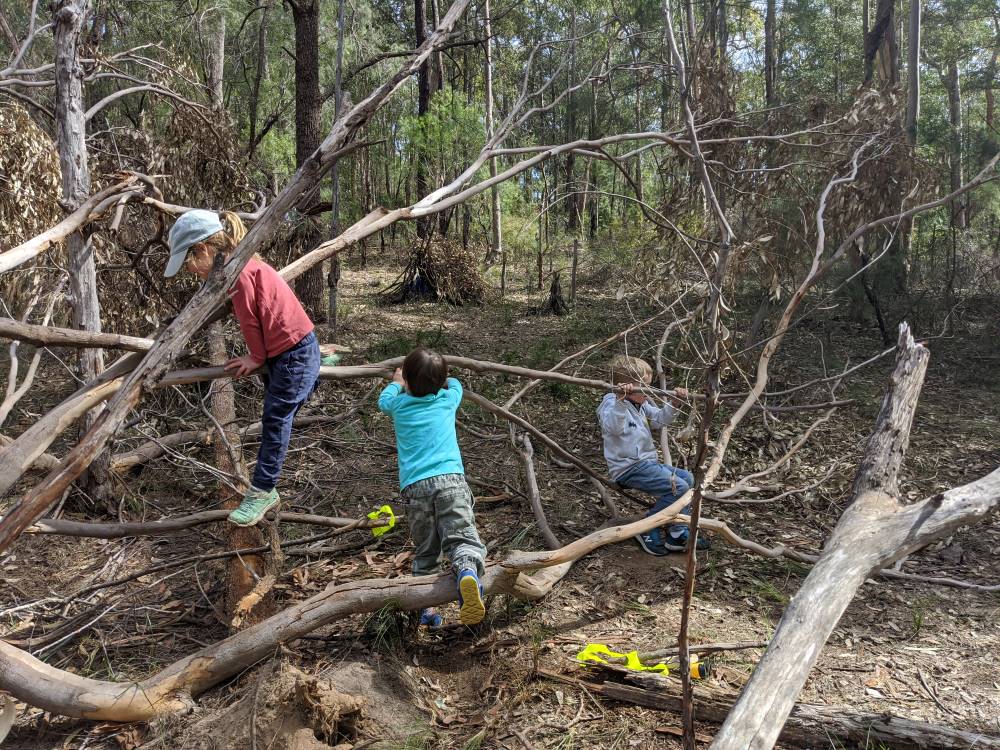 bush playgroup blaxland preschool kindergarten kids playing on branches, outdoor playground