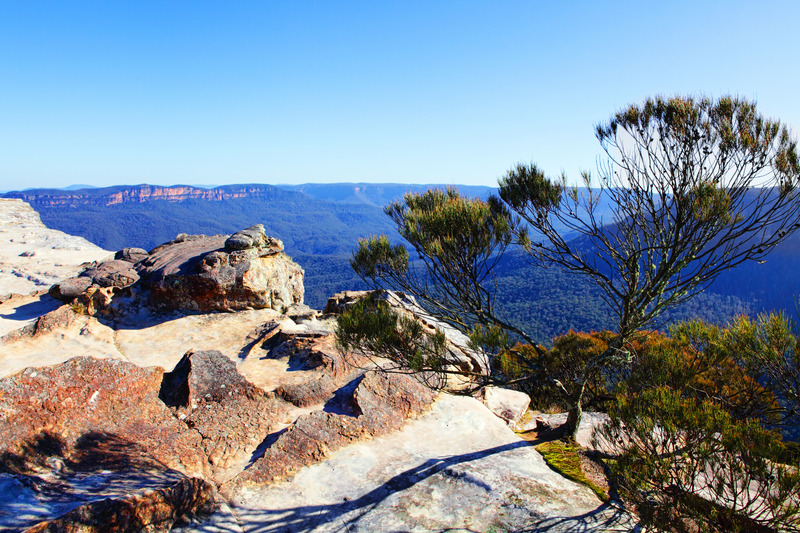 aboriginal sites blue mountains, kings tableland bushwalk