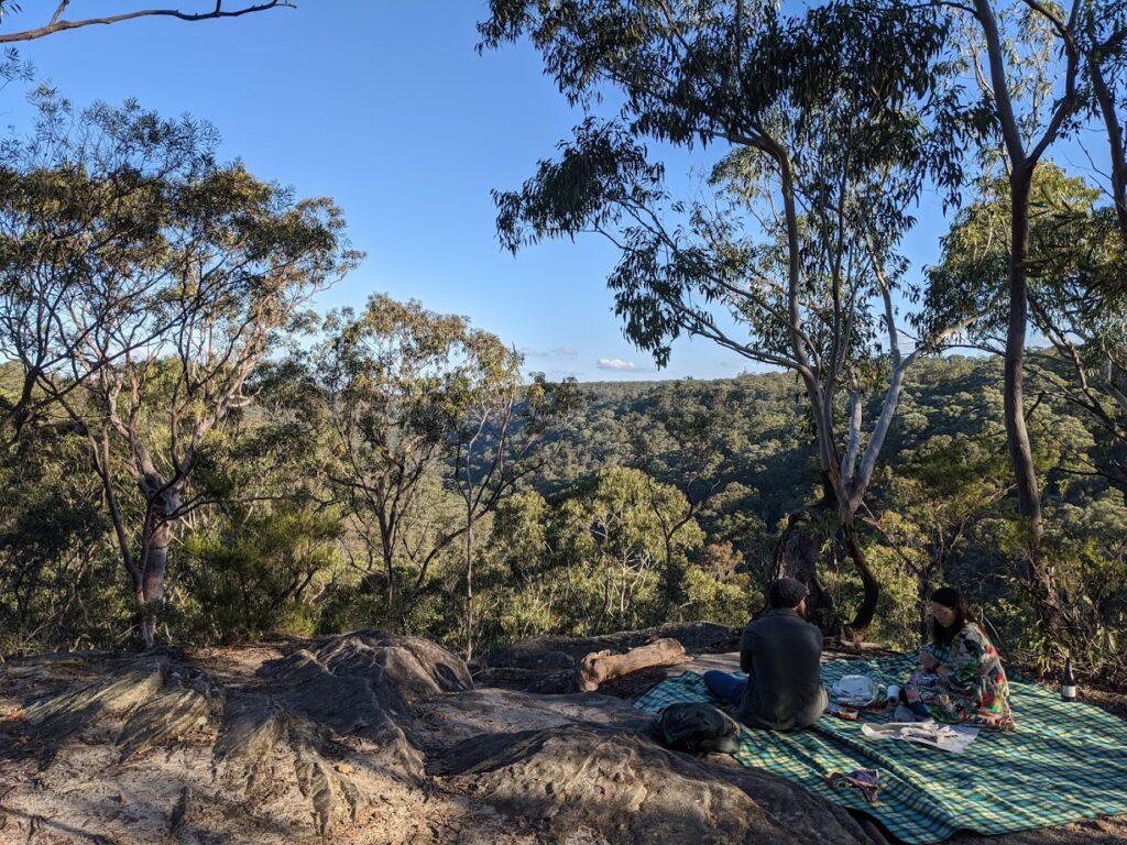 Lawson Lookout, at the end of the Fairy Dell track, bushwalks for kids in the Blue Mountains