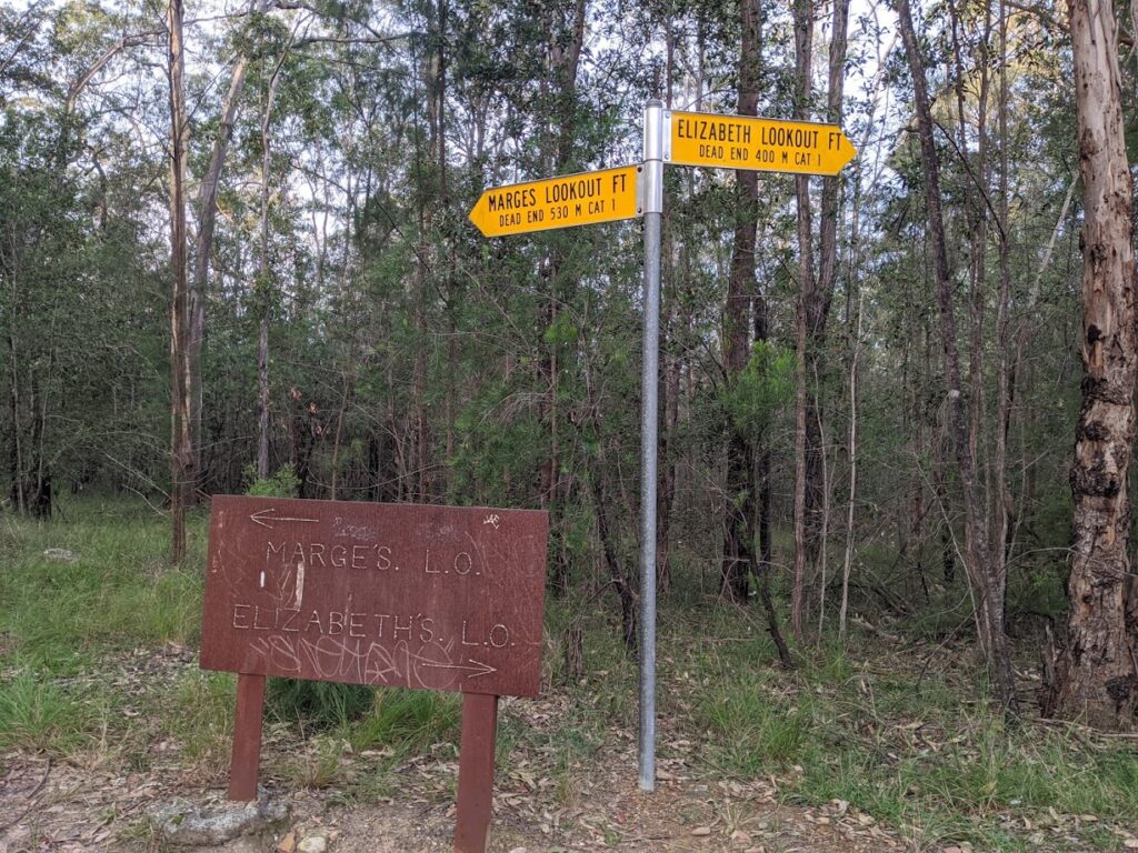 Marge’s Lookout and Elizabeth Lookout, bushwalks for kids in the Blue Mountains