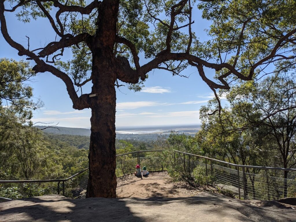 Marge’s Lookout, Glenbrook, bushwalks for kids in the Blue Mountains