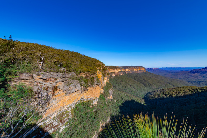 5 Essential Bushwalking Tips: Keep Your Family Safe on Blue Mountains ...