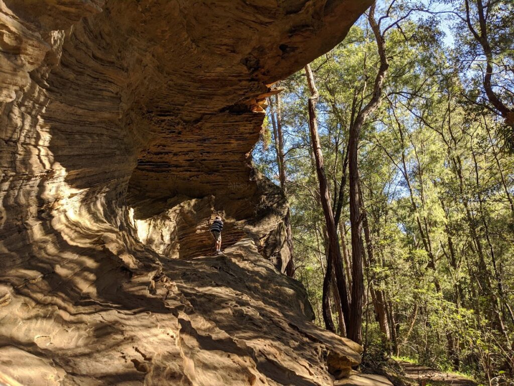 birdwood gully madoline glen sandstone