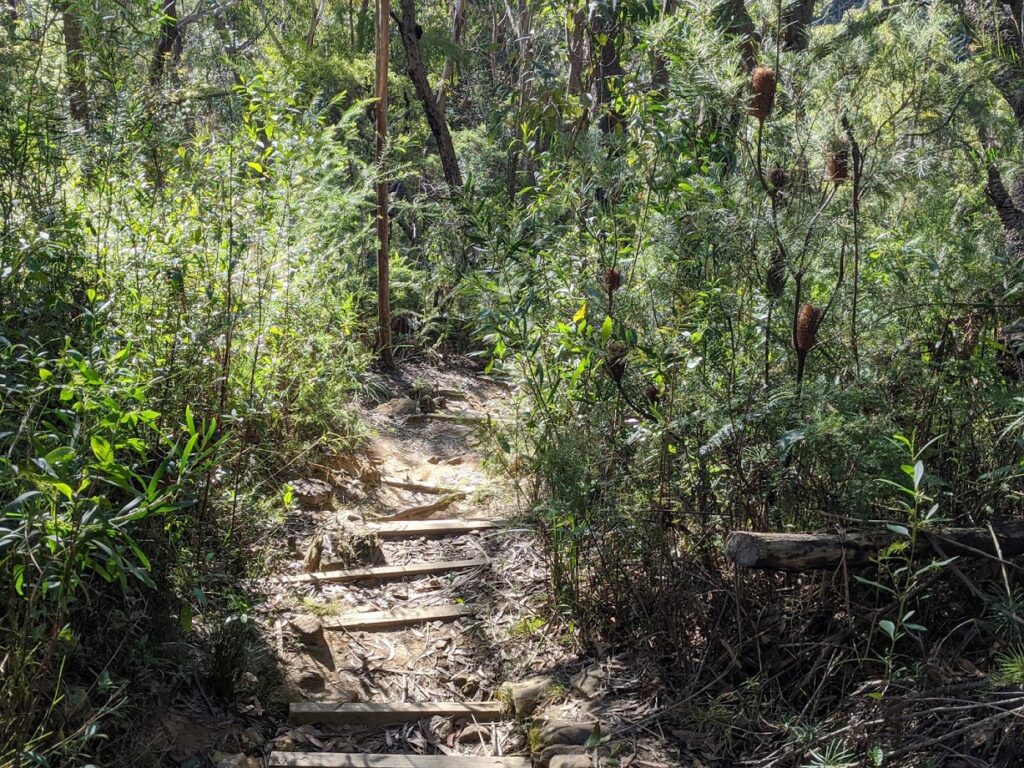 Birdwood Gully Springwood, Blue Mountains National Park, steps