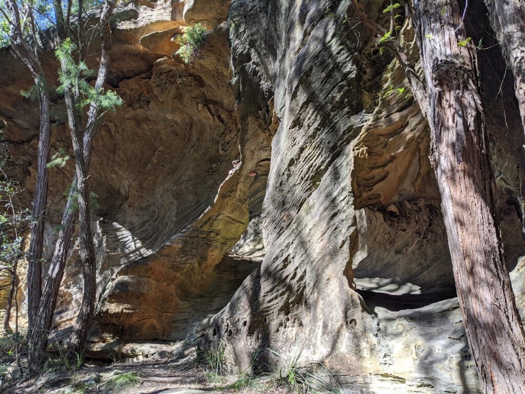 Birdwood Gully Springwood, Blue Mountains National Park, sandstone overhang