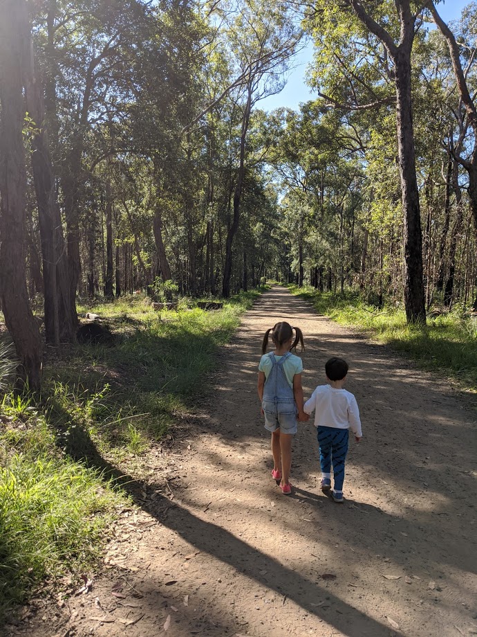 marges and elizabeth's lookout glenbrook bushwalk two little kids holding hands