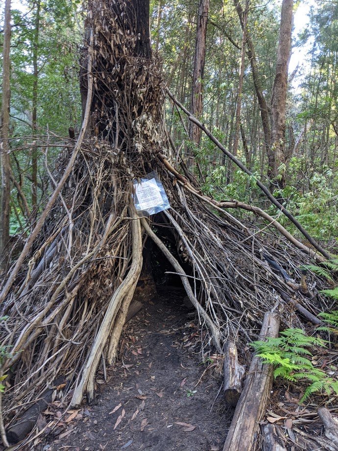 bush playgroup den, Fairy Dell, Springwood, bushwalks for kids in the Blue Mountains