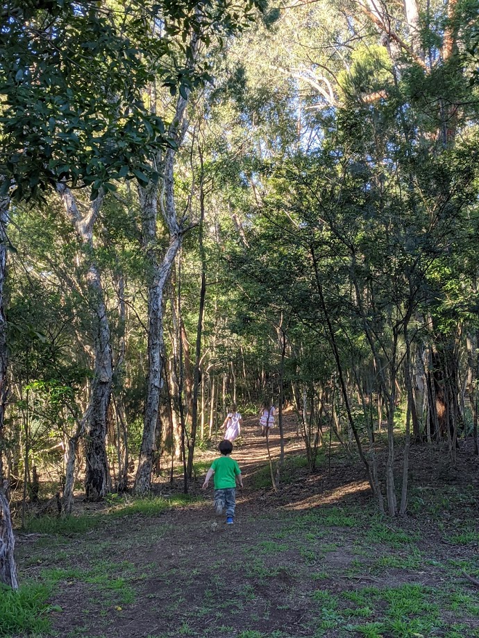 Glenbrook Lagoon walk, bushwalks for kids in the Blue Mountains