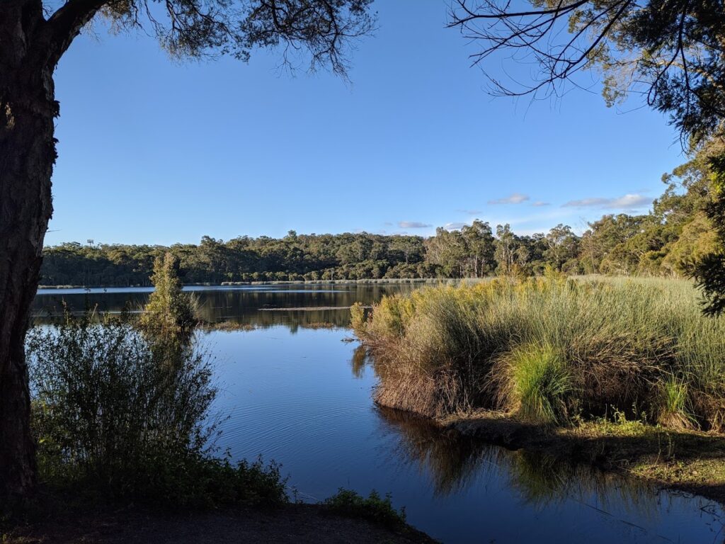 Glenbrook Lagoon, bushwalks for kids in the Blue Mountains