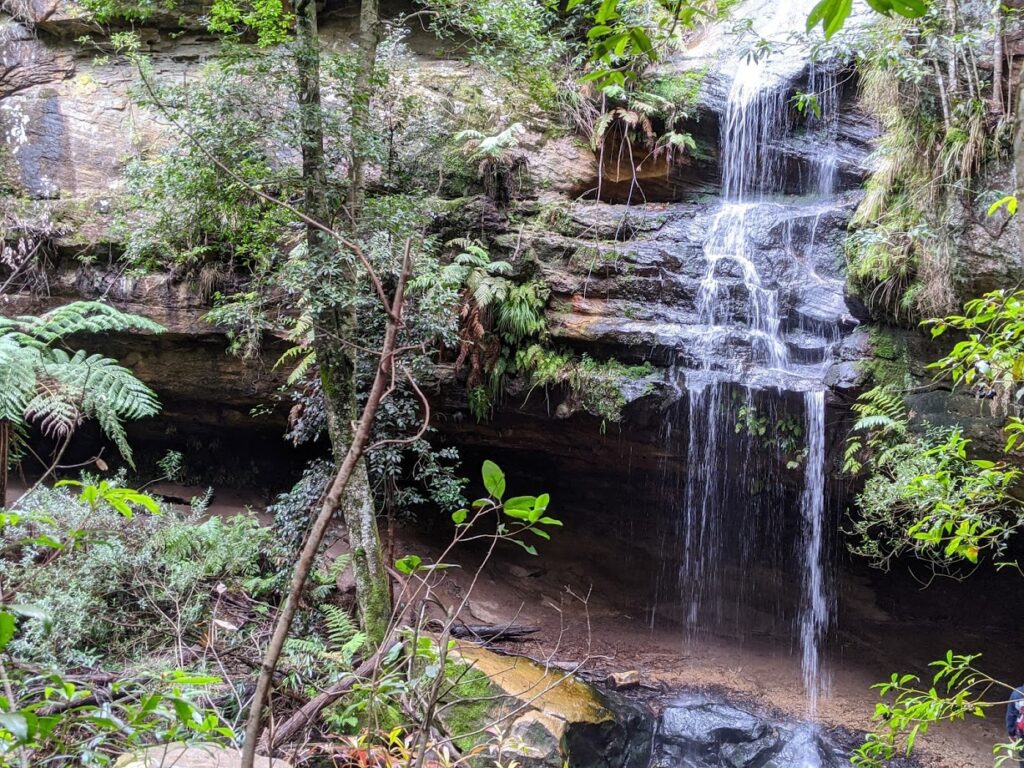 Horseshoe and Glow Worm Nook Falls, Hazelbrook, bushwalks for kids in the Blue Mountains