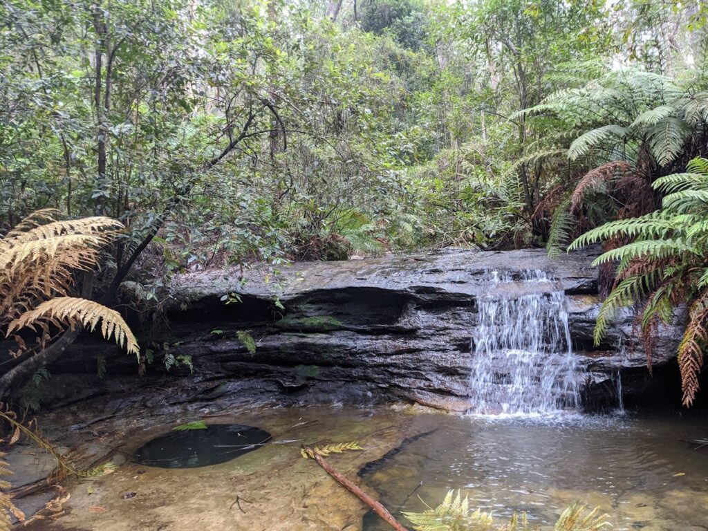 five waterfalls walk lawson