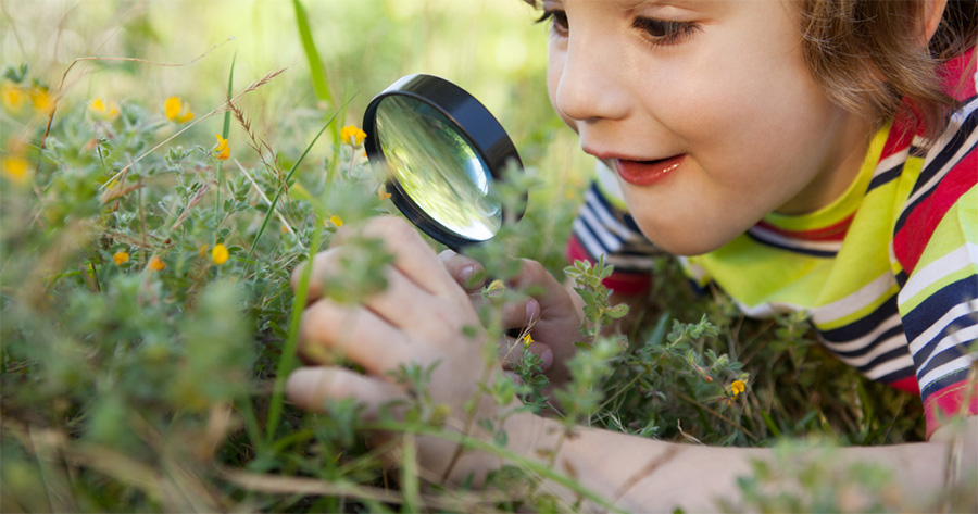 children learn about the bush at bush playgroup in the Blue Mountains by using a magnifying glass