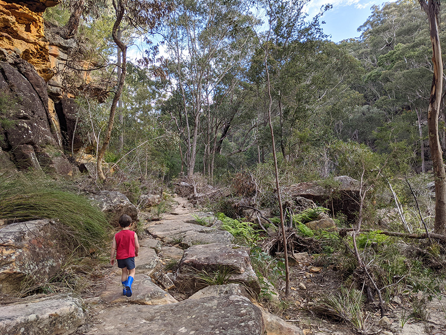 children love bushwalks at Blue Pool at bush playgroup in the Blue Mountains