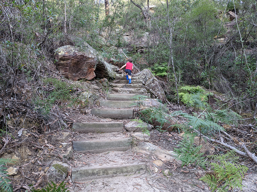 Children get fit on bush walks in the Blue Mountains when they do bush playgroup