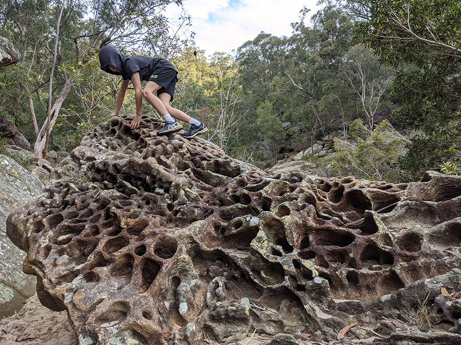 a new challenge is rock climbing at bush playgroup in the Blue Mountains