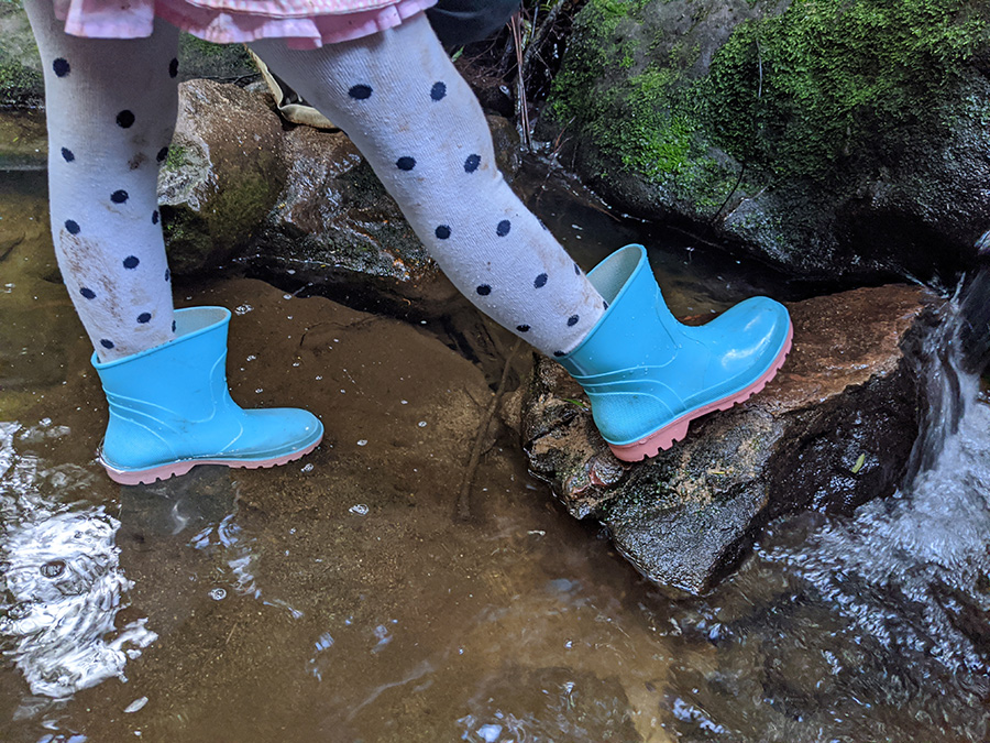 Cognitive development on a bush walk through Bush Playgroup opportunities in the Blue Mountains