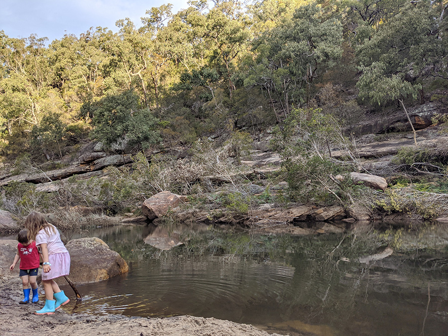 Discovering nature at the Jellybean Pool in Blue Mountains bush play groups