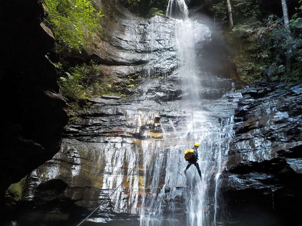 high and wild adventure tour provider katoomba blue mountains