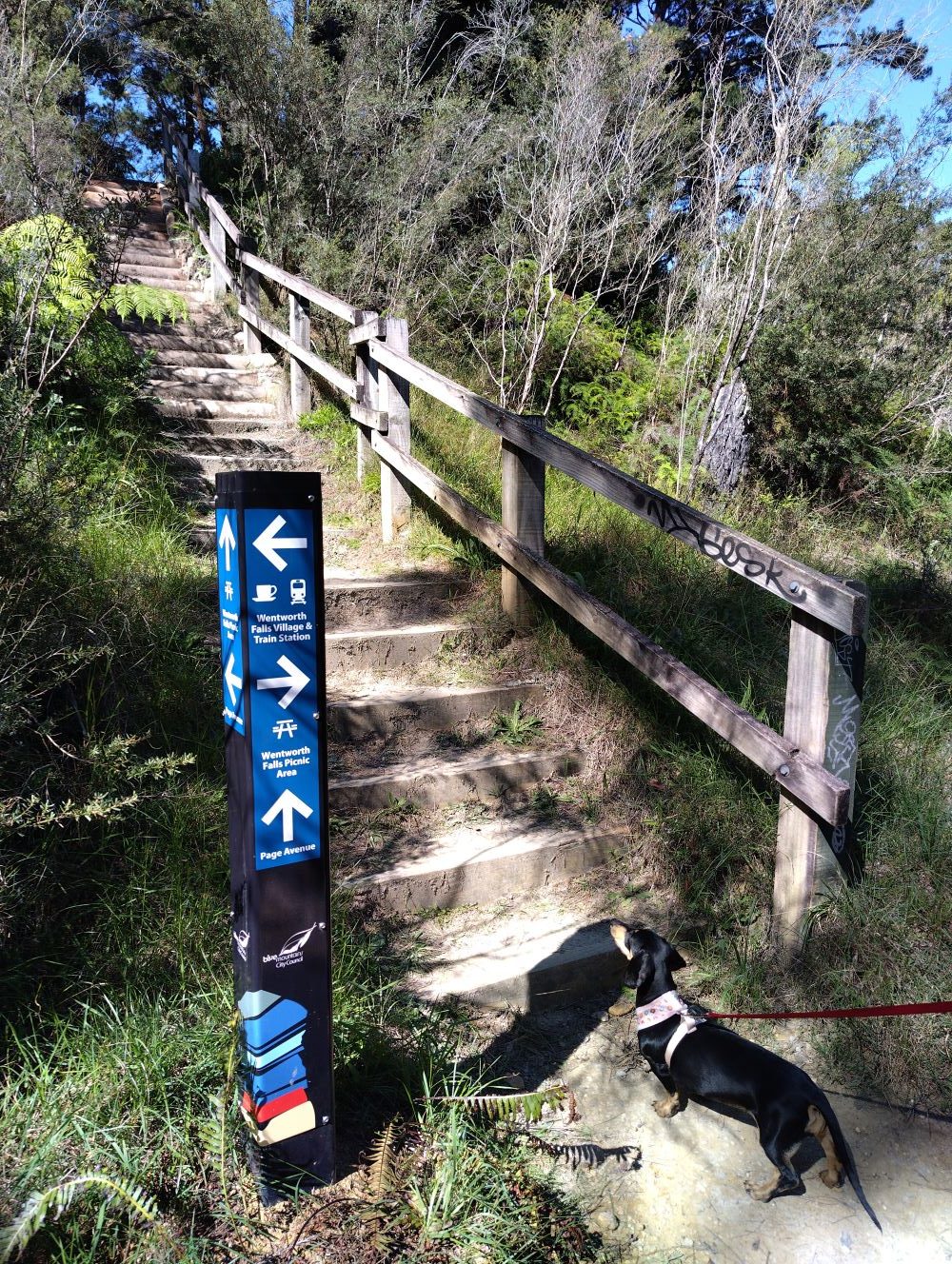 Darwins Walk Wentworth Falls is signposted