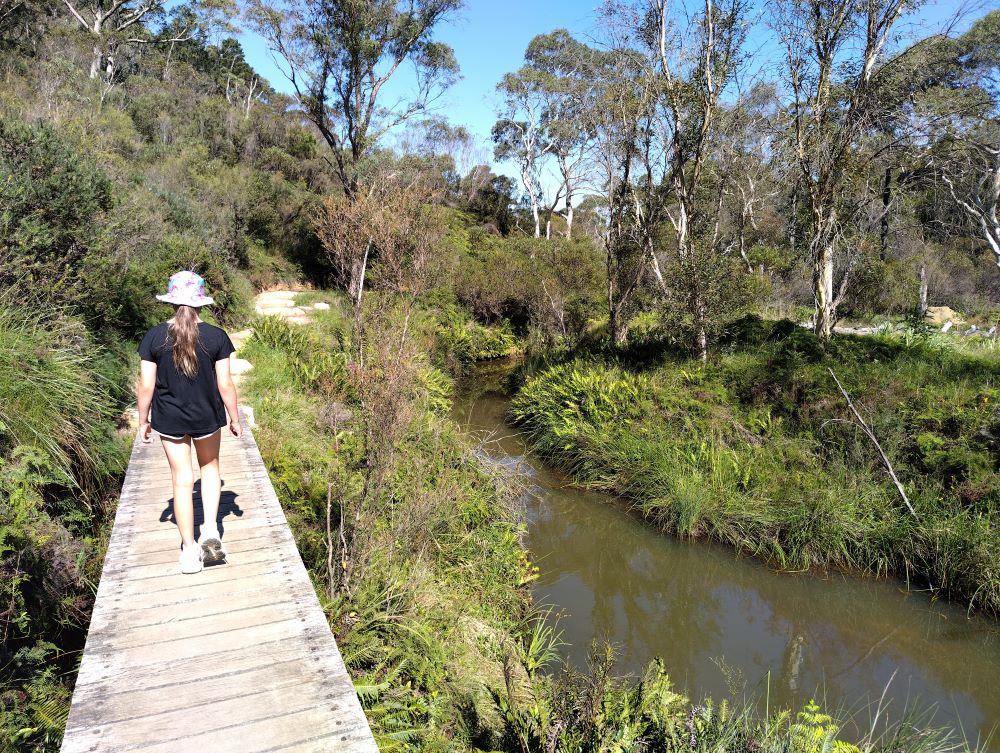 Girl walking along a boardwalk of Darwins Walk Wentworth Falls