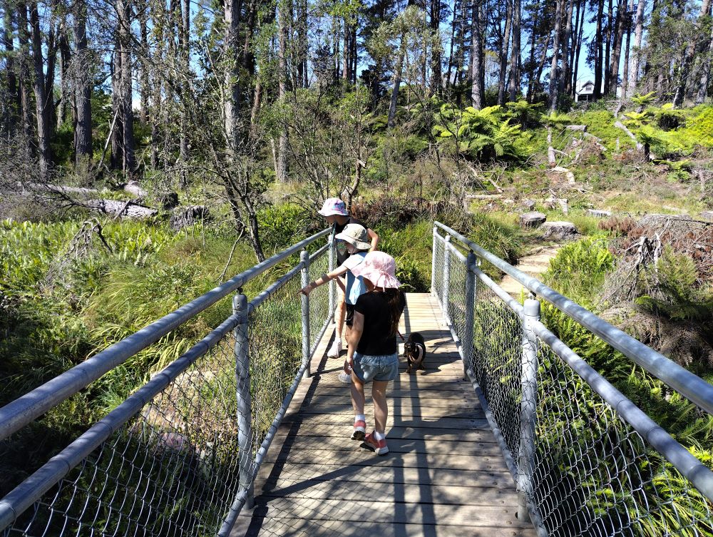 Three children exploring Jamison Creek along Darwins Walk Wentworth Falls
