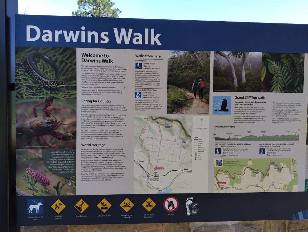 Darwins Walk Wentworth Falls map and information sign