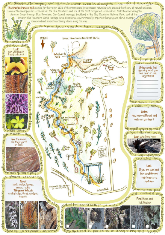 Map of Darwins Walk Wentworth Falls by Bushtrackers