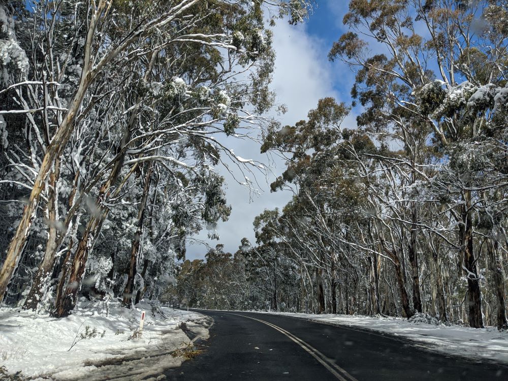 oberon, blue mountains snow, road safety