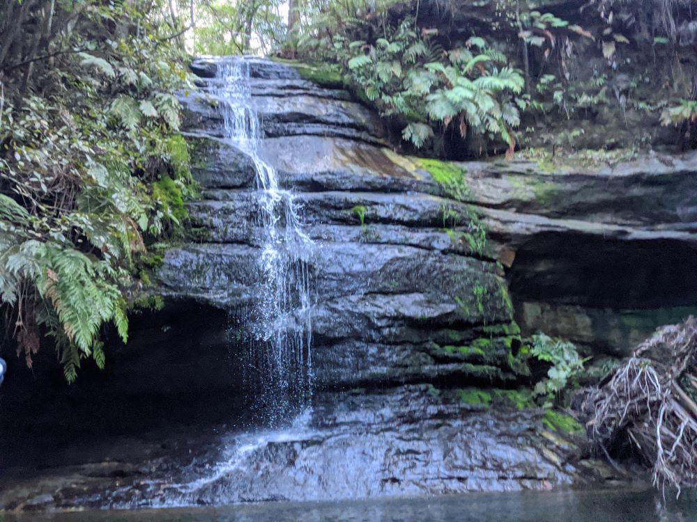 pool of siloam leura bushwalk waterfall