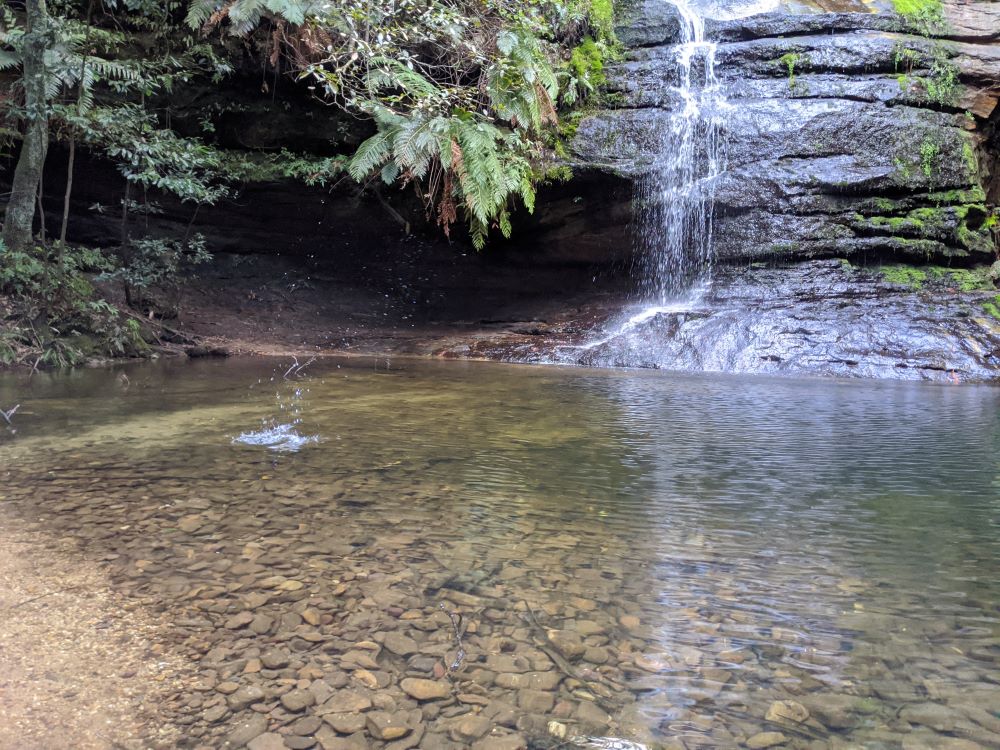 The Pool of Siloam, Blue Mountains National Park, bushwalks for kids in the Blue Mountains