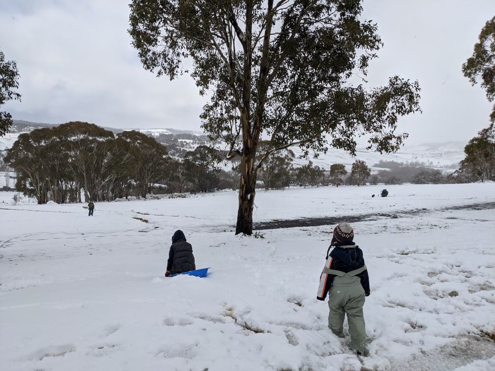 tobogganing in the snow in the blue mountains