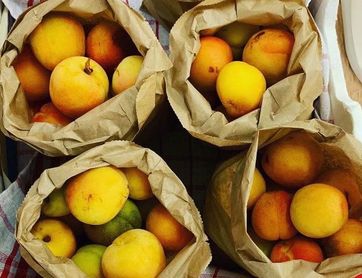 Blue Mountains markets fruit