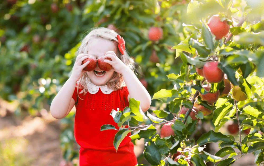 Pick Your Own Fruit Blue Mountains and Beyond: Discover these 11 Farms and Orchards for a Fabulous Family Day Out - Blue Mountains Mums