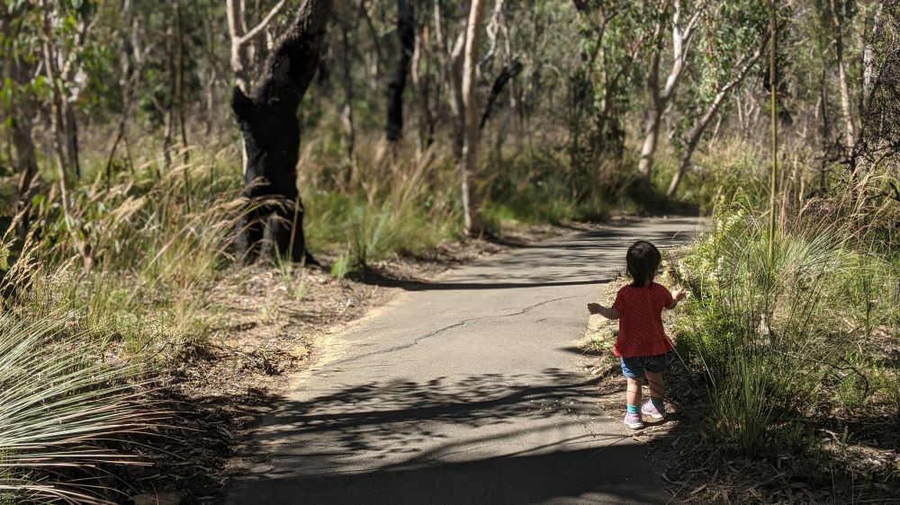 fairfax heritage track blackheath blue mountains national park girl running