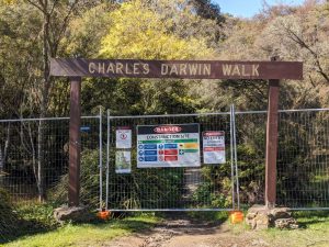 wilson park wentworth falls charles darwin walk