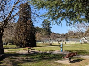 wilson park and playground wentworth falls blue mountains national park water and park benches