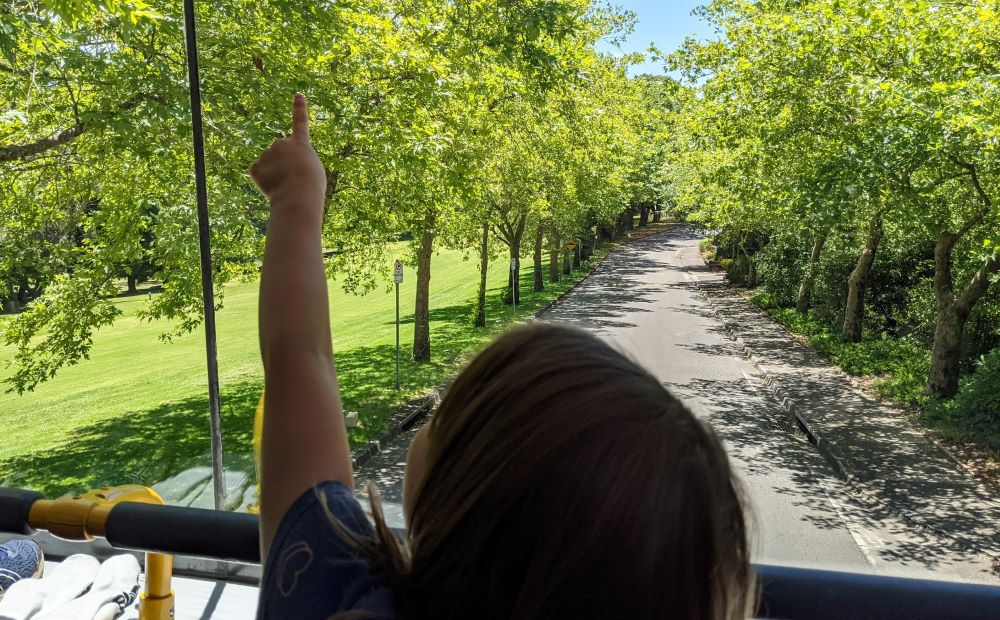 girl exploring on blue mountains explorer bus