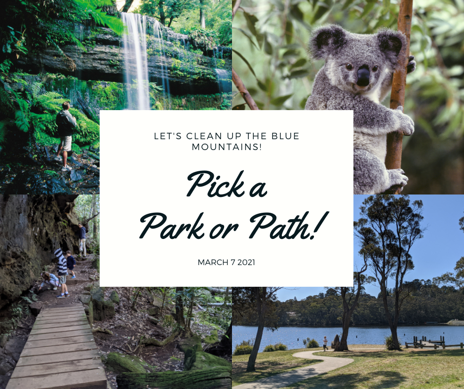 clean up the blue mountains