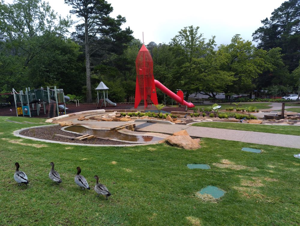Memorial Park Blackheath - ducks exploring The Rocketship park