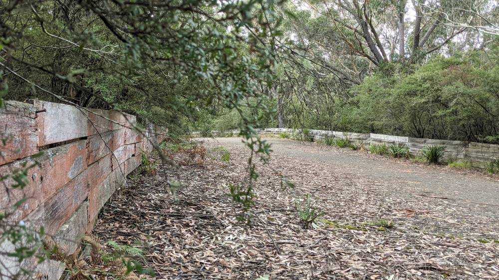 catalina park raceway katoomba