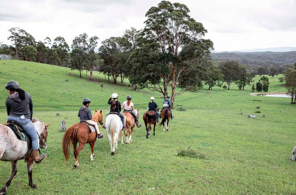 centennial glen stables kanimbla valley near blackheath blue mountains horse and pony rides