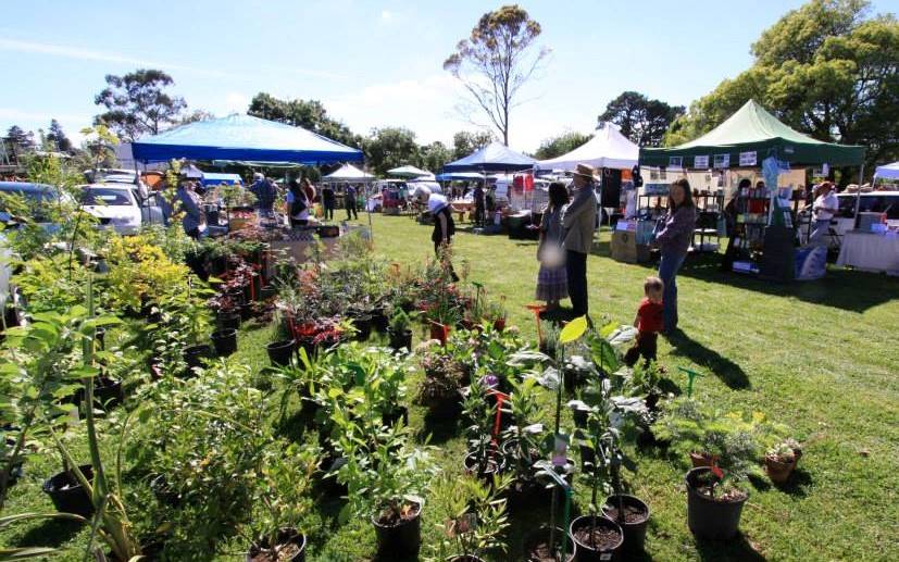 Things To Do In The Blue Mountains visit a blue mountains market like lawson magpie markets