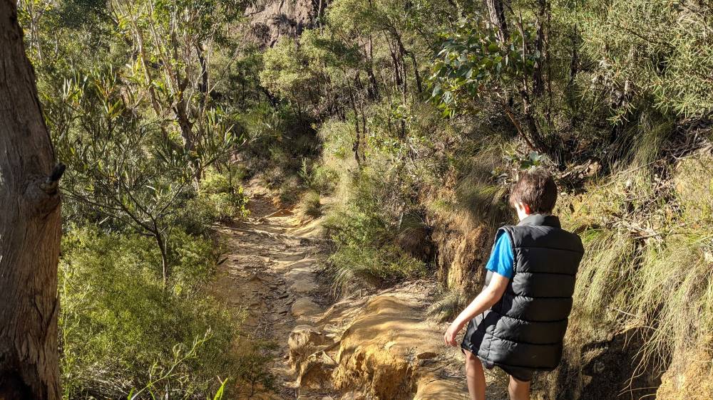 Minnehaha Falls Track Katoomba bushwalk boy walking on rough track