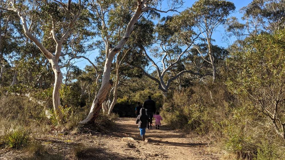 Minnehaha Falls Track Katoomba bushwalk