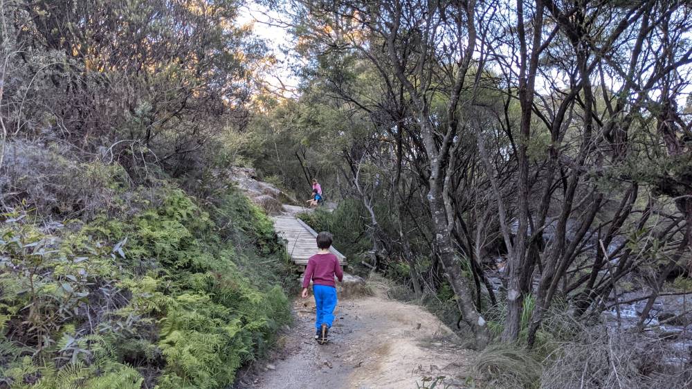 Minnehaha Falls Track Katoomba bushwalk little boy walking along