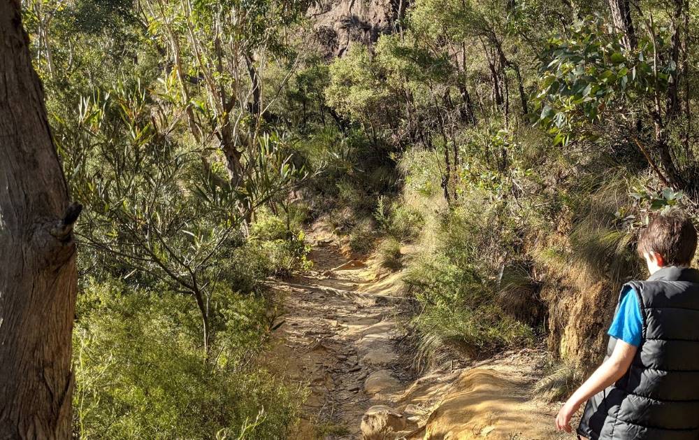 Minnehaha Falls Track Katoomba bushwalk rocky track