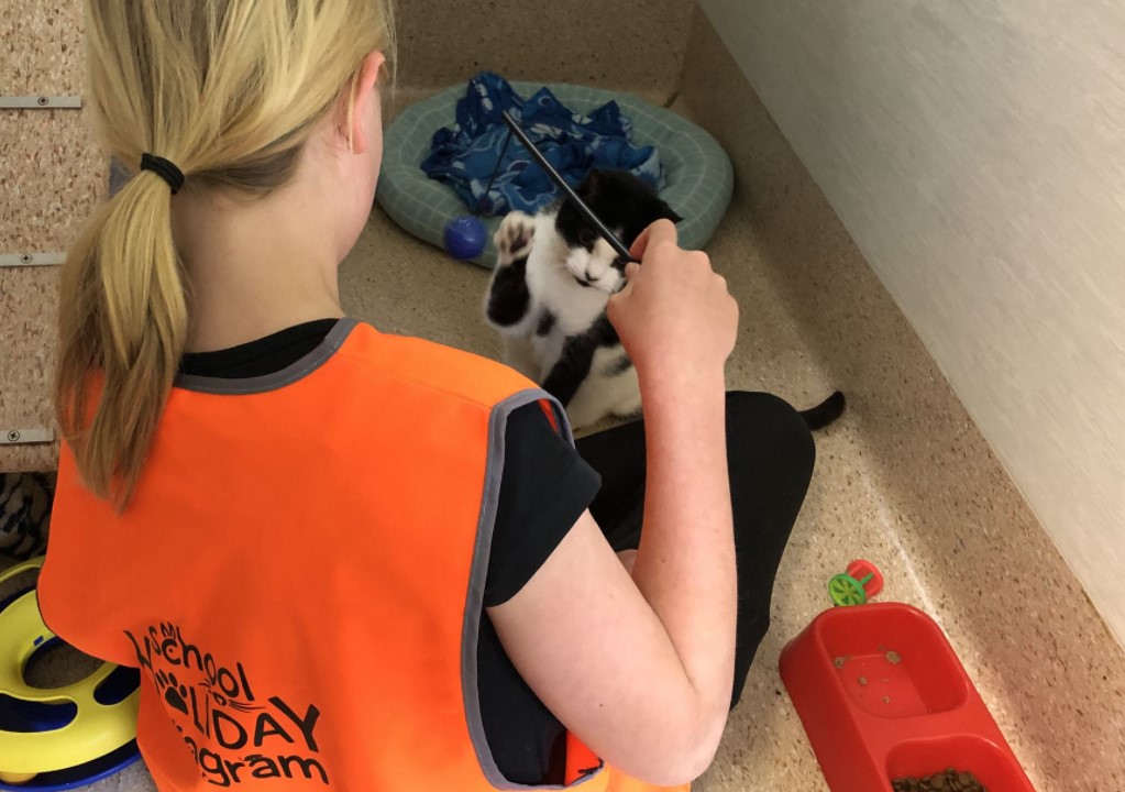 RSPCA winter school holiday program 2021 katoomba