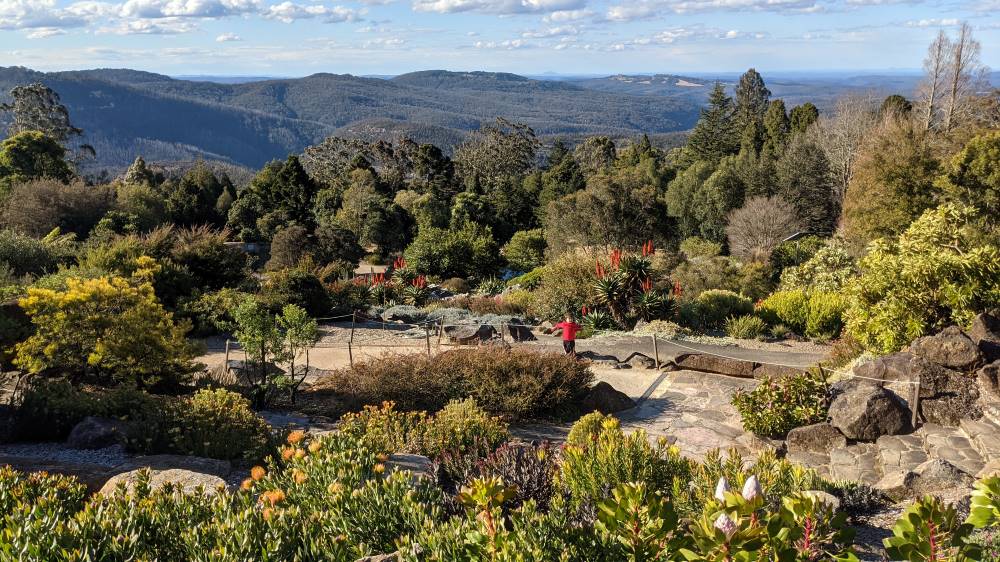 Blue Mountains Botanic Gardens Mount Tomah magnificent view