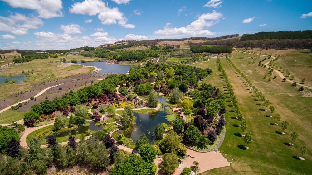 Things To Do In The Blue Mountains visit mayfield gardens