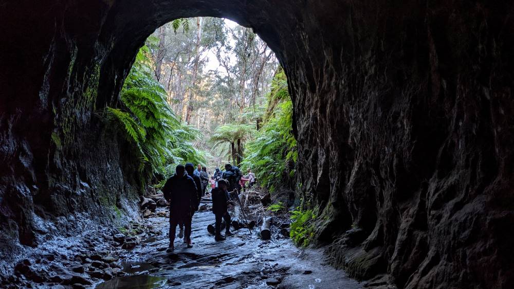 Things To Do In The Blue Mountains discover glow worms at newnes in wollemi national park